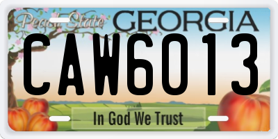 GA license plate CAW6013