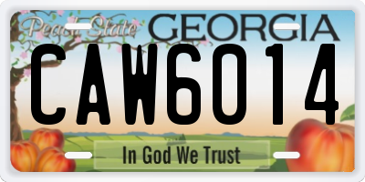 GA license plate CAW6014