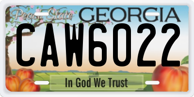 GA license plate CAW6022
