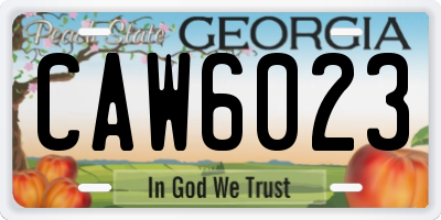 GA license plate CAW6023