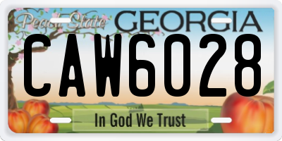 GA license plate CAW6028