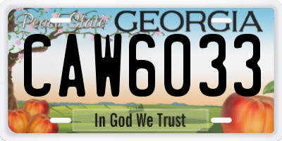 GA license plate CAW6033