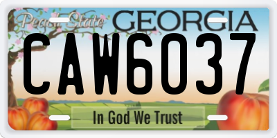 GA license plate CAW6037