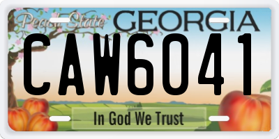 GA license plate CAW6041
