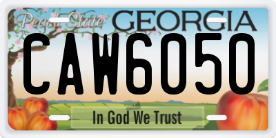 GA license plate CAW6050