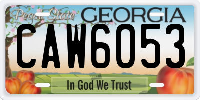 GA license plate CAW6053