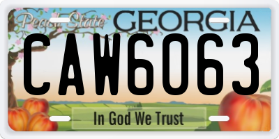 GA license plate CAW6063