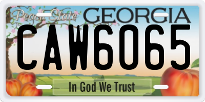 GA license plate CAW6065