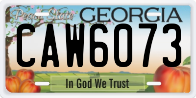 GA license plate CAW6073