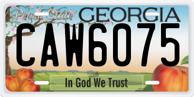 GA license plate CAW6075