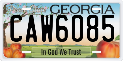 GA license plate CAW6085