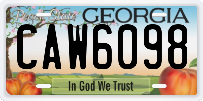 GA license plate CAW6098