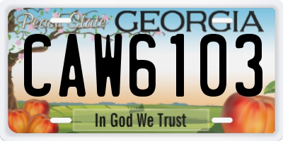 GA license plate CAW6103