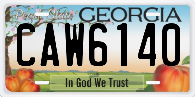 GA license plate CAW6140