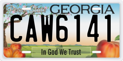 GA license plate CAW6141