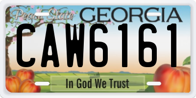 GA license plate CAW6161