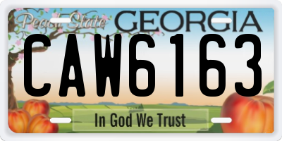 GA license plate CAW6163