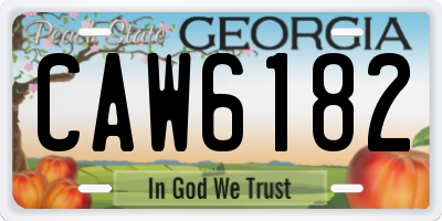 GA license plate CAW6182
