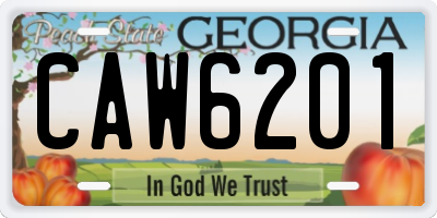 GA license plate CAW6201