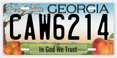 GA license plate CAW6214