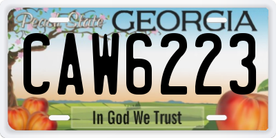 GA license plate CAW6223