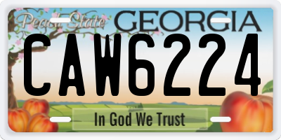 GA license plate CAW6224