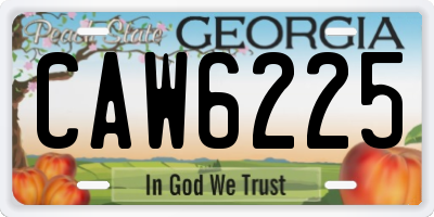 GA license plate CAW6225