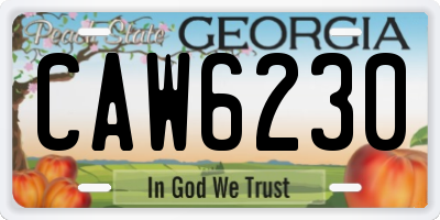 GA license plate CAW6230