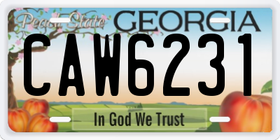 GA license plate CAW6231