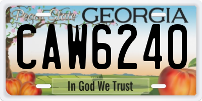 GA license plate CAW6240