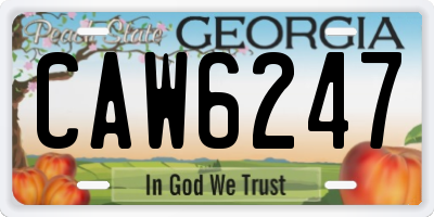 GA license plate CAW6247