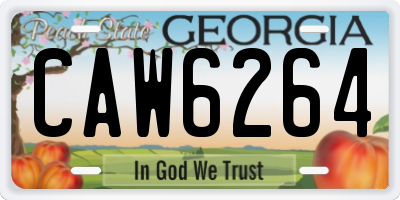 GA license plate CAW6264
