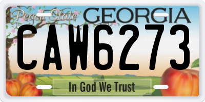 GA license plate CAW6273