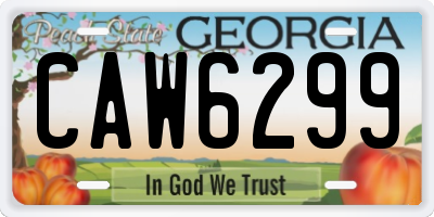 GA license plate CAW6299