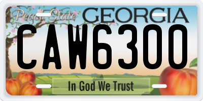 GA license plate CAW6300