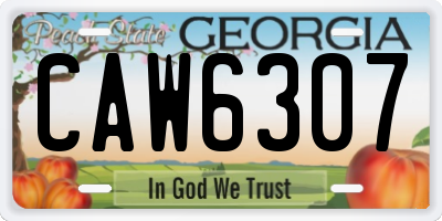 GA license plate CAW6307