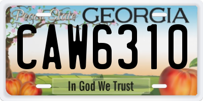 GA license plate CAW6310