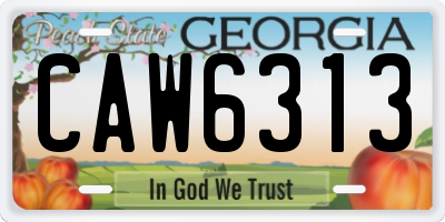 GA license plate CAW6313