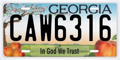 GA license plate CAW6316