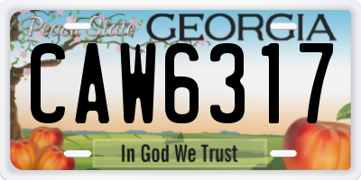 GA license plate CAW6317