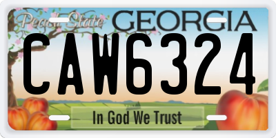 GA license plate CAW6324