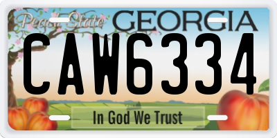 GA license plate CAW6334