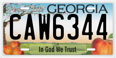 GA license plate CAW6344