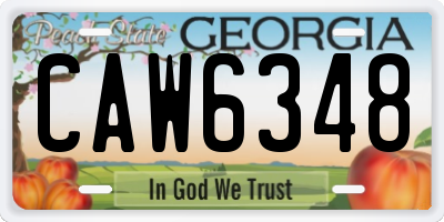 GA license plate CAW6348