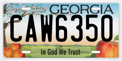 GA license plate CAW6350