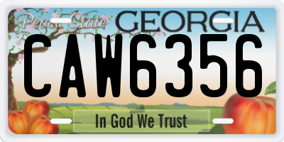 GA license plate CAW6356