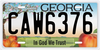 GA license plate CAW6376