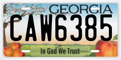 GA license plate CAW6385