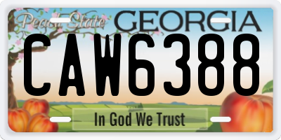 GA license plate CAW6388