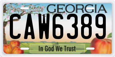 GA license plate CAW6389